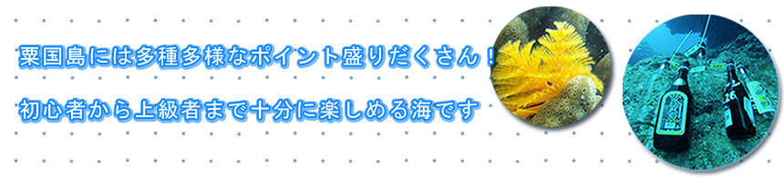 粟国島には多種多様なポイントが盛りだくさん!