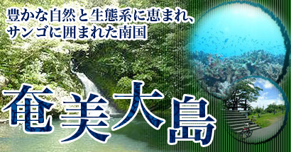 豊かな自然とサンゴが自慢!鹿児島県奄美大島