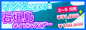 マンタに会える！石垣島ダイビングツアー