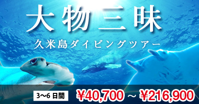 大物三昧!久米島ダイビングツアー