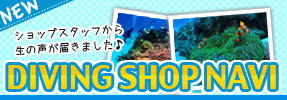 サービスガイド