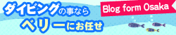 ベリーのブログ