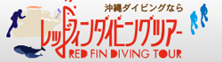レッドフィンダイビングツアー