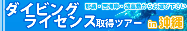 ダイビングライセンス取得