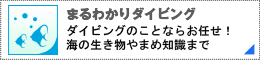まるわかりダイビング