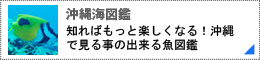 海図鑑