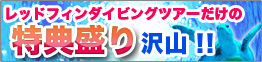 特典盛りだくさん
