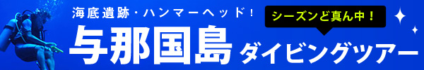 与那国島ダイビング
