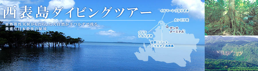西表島
