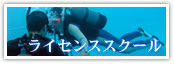 ライセンススクール