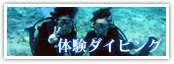 体験ダイビング