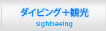 ダイビング＋観光