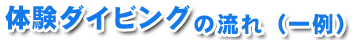 体験ダイビングの流れ
