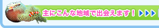 主にこんな地域で出会えます！