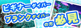 ビギナーダイバーさんにおすすめ