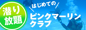 潜り放題西海岸ダイビングツアー