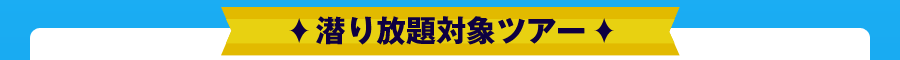 もぐり放題対象ツアー