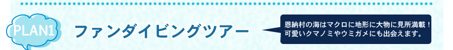 ファンダイビングツアー