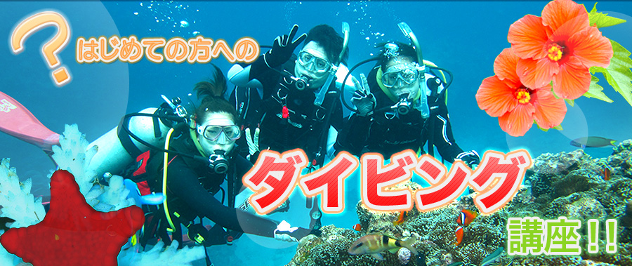 はじめてのダイビング講座!!