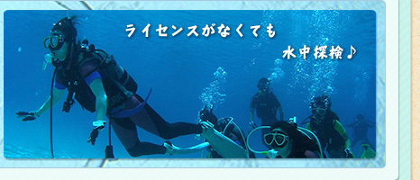 ライセンスがなくても水中探検♪