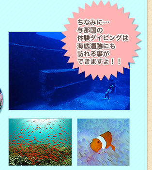 海中画像