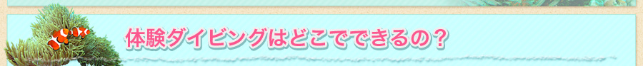 体験ダイビングはどこでできるの?
