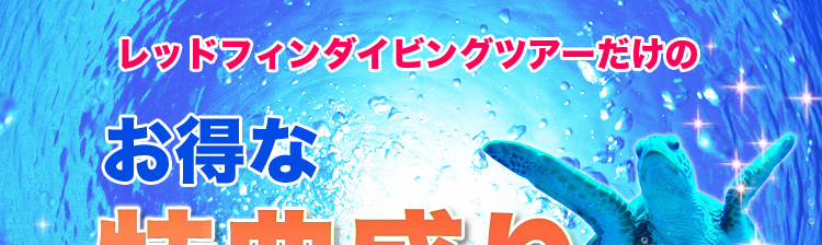 今年はどこでダイビングしようかと悩んだらコチラ!