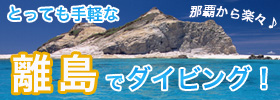 らくらくケラマ諸島ダイビング★