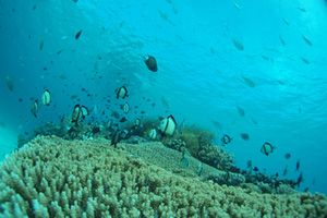 20101217.jpg