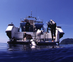 201100801.jpg
