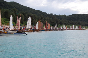 20090629.jpg
