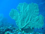 20090721_09.jpg