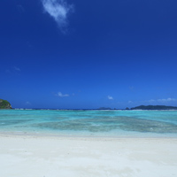 img_top.jpg