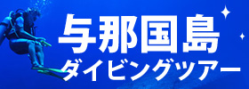 与那国島ダイビングツアー