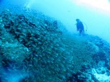 慶良間諸島