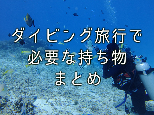 ダイビング旅行で必要な持ち物リストとレンタルできるものをまとめました レッドフィンブログ