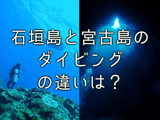 石垣島と宮古島