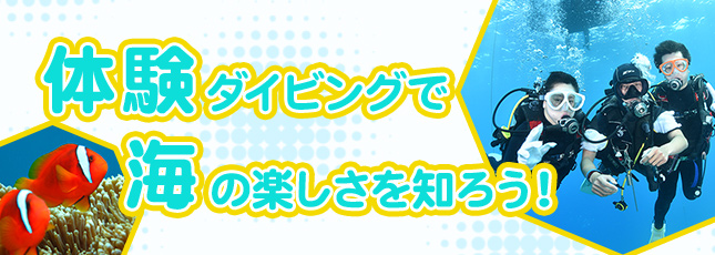 体験ダイビングで沖縄の海を覗いてみよう