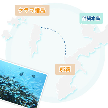 石垣島MAP