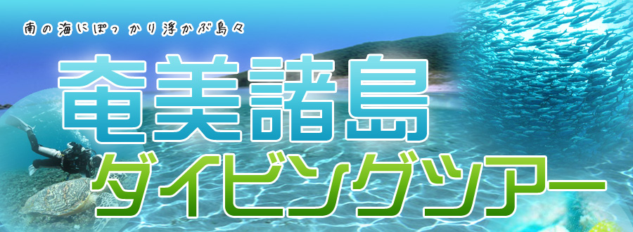 南の海にぽっかり浮かぶ島々