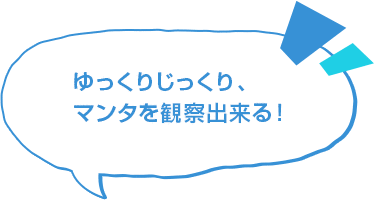 ゆっくりじっくり、マンタを観察出来る！