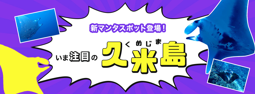 久米島で新発見！マンタステーションへ行こう