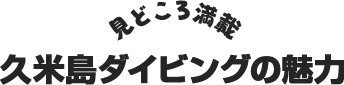 見どころ満載！久米島ダイビングの魅力