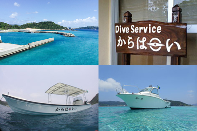 Dive Serviceからはーい利用ランドパック