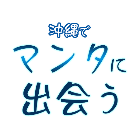 沖縄でマンタに出会う！おすすめポイント特集