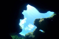 アルファアイランド徳之島