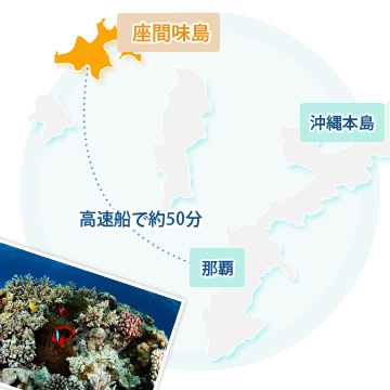 座間味島MAP